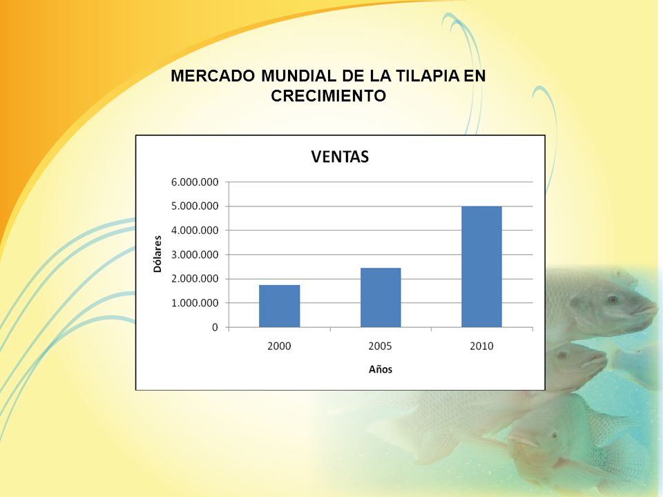 MERCADO MUNDIAL DE LA TILAPIA EN CRECIMIENTO