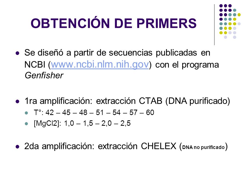 OBTENCIÓN DE PRIMERS Se diseñó a partir de secuencias publicadas en NCBI (  con el programa Genfisher.