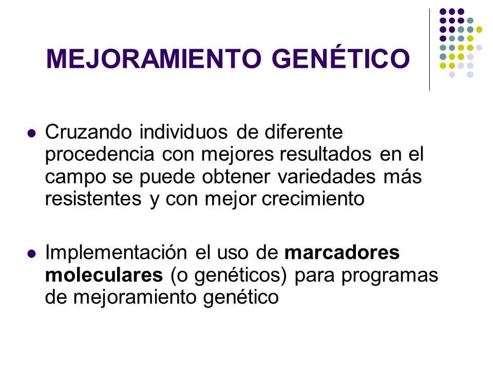 MEJORAMIENTO GENÉTICO