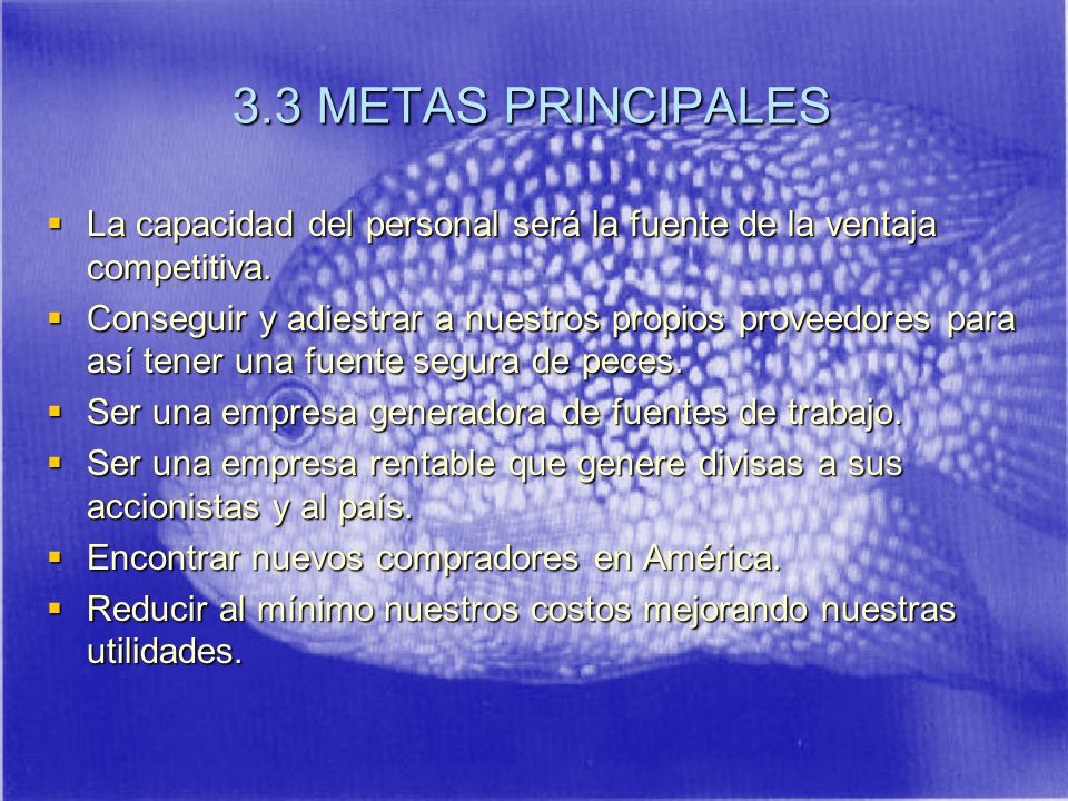 3.3 METAS PRINCIPALES La capacidad del personal será la fuente de la ventaja competitiva.