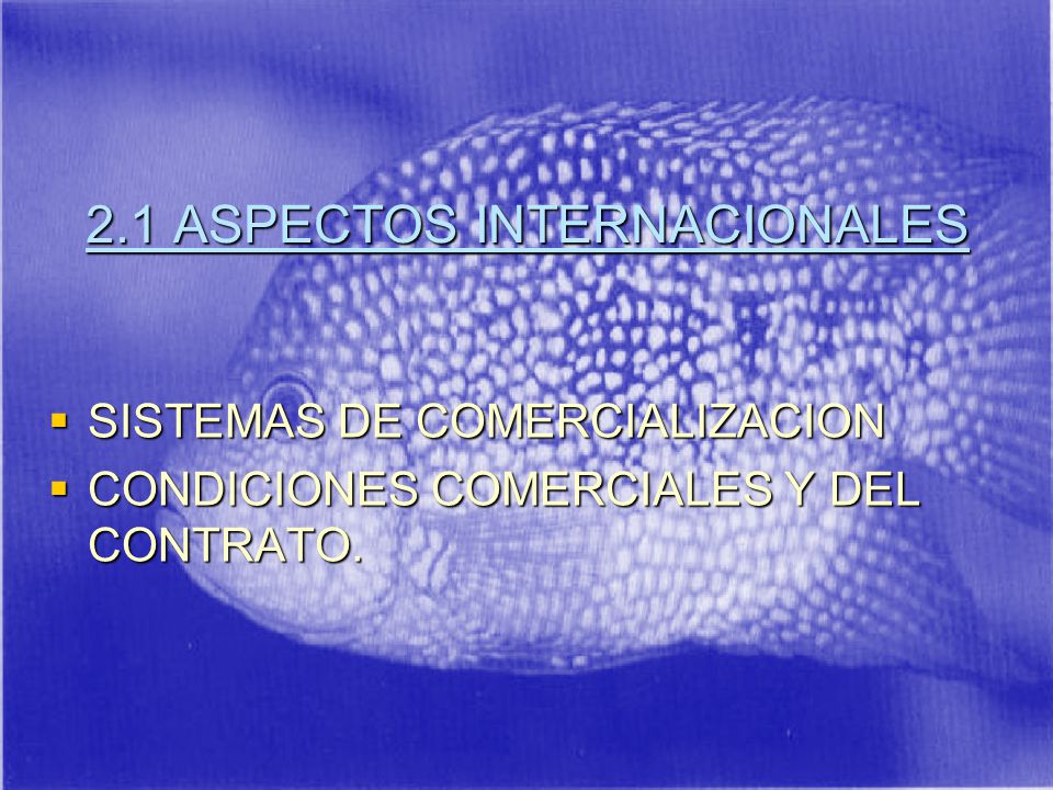 2.1 ASPECTOS INTERNACIONALES