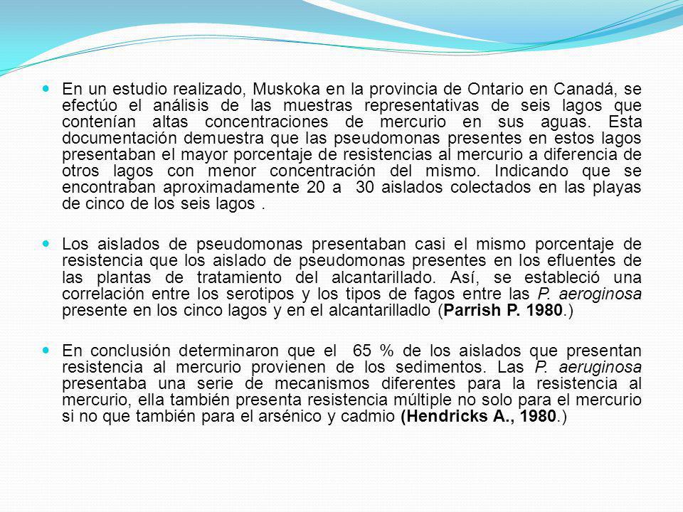 En un estudio realizado, Muskoka en la provincia de Ontario en Canadá, se efectúo el análisis de las muestras representativas de seis lagos que contenían altas concentraciones de mercurio en sus aguas. Esta documentación demuestra que las pseudomonas presentes en estos lagos presentaban el mayor porcentaje de resistencias al mercurio a diferencia de otros lagos con menor concentración del mismo. Indicando que se encontraban aproximadamente 20 a 30 aislados colectados en las playas de cinco de los seis lagos .