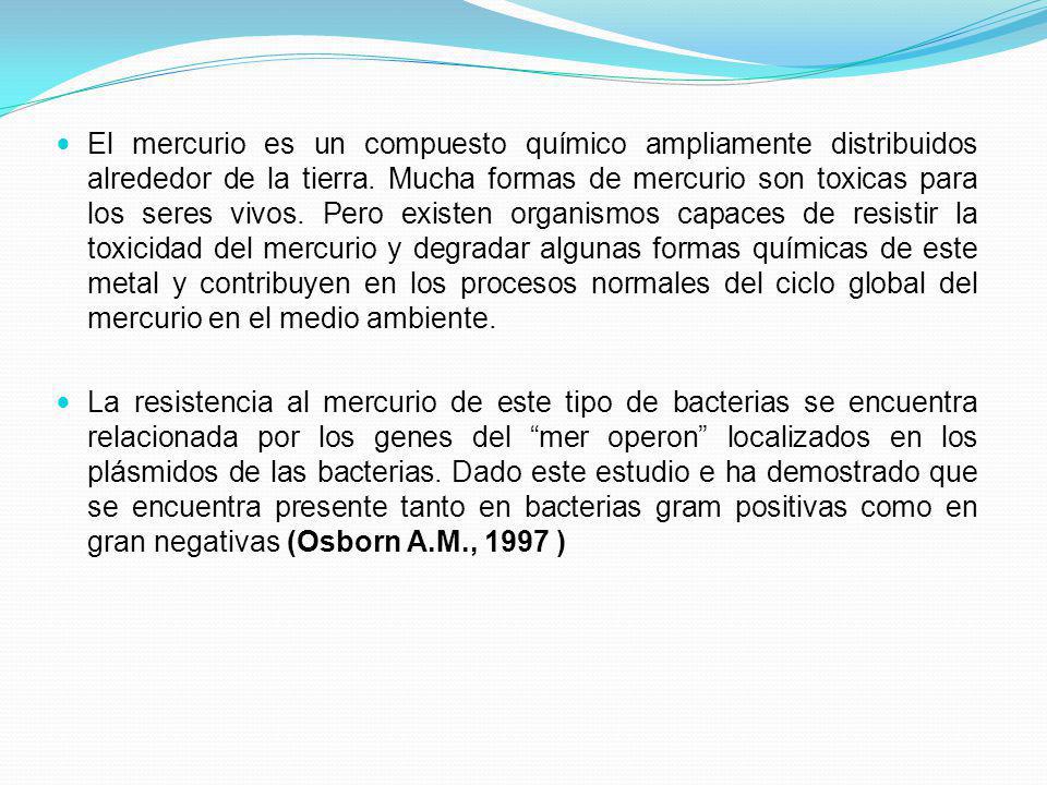 El mercurio es un compuesto químico ampliamente distribuidos alrededor de la tierra. Mucha formas de mercurio son toxicas para los seres vivos. Pero existen organismos capaces de resistir la toxicidad del mercurio y degradar algunas formas químicas de este metal y contribuyen en los procesos normales del ciclo global del mercurio en el medio ambiente.