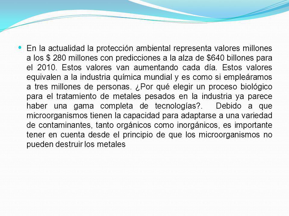 En la actualidad la protección ambiental representa valores millones a los $ 280 millones con predicciones a la alza de $640 billones para el 2010.