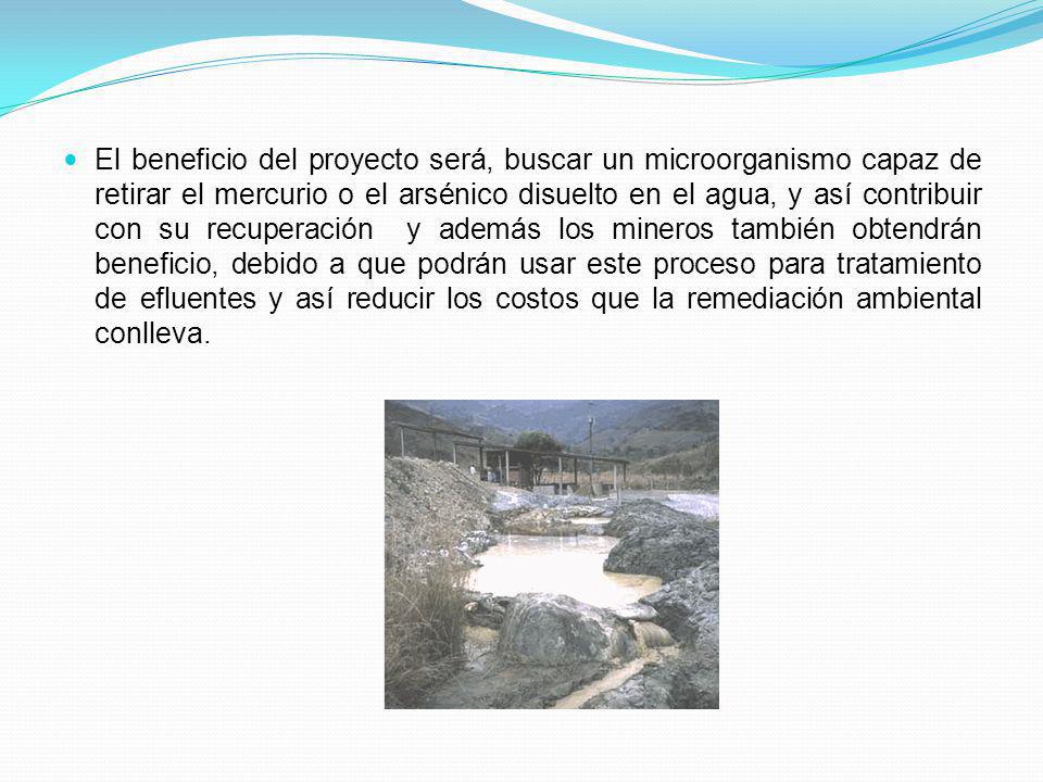 El beneficio del proyecto será, buscar un microorganismo capaz de retirar el mercurio o el arsénico disuelto en el agua, y así contribuir con su recuperación y además los mineros también obtendrán beneficio, debido a que podrán usar este proceso para tratamiento de efluentes y así reducir los costos que la remediación ambiental conlleva.
