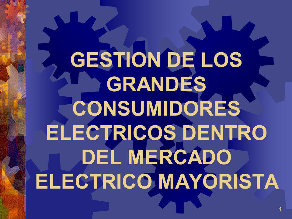 GESTION DE LOS GRANDES CONSUMIDORES ELECTRICOS DENTRO DEL MERCADO ELECTRICO MAYORISTA