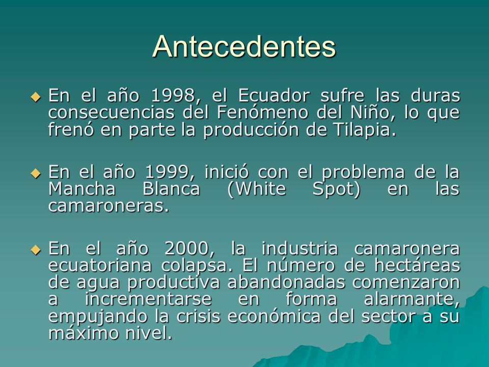 Antecedentes En el año 1998, el Ecuador sufre las duras consecuencias del Fenómeno del Niño, lo que frenó en parte la producción de Tilapia.
