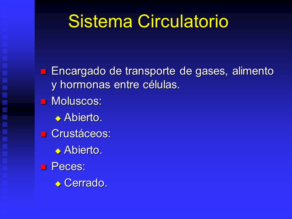 Sistema Circulatorio Encargado de transporte de gases, alimento y hormonas entre células. Moluscos: