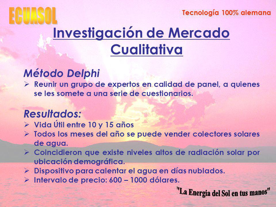 Investigación de Mercado Cualitativa La Energia del Sol en tus manos