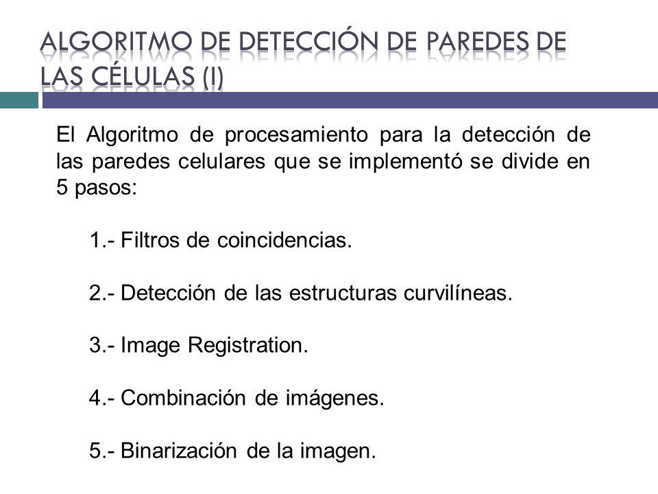 Algoritmo de Detección de paredes de las células (I)