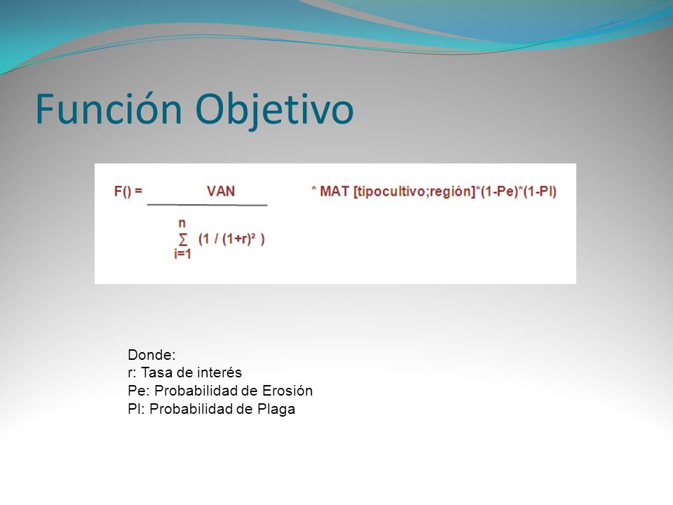 Función Objetivo Donde: r: Tasa de interés Pe: Probabilidad de Erosión