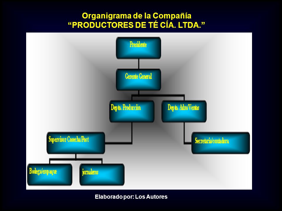 Organigrama de la Compañía PRODUCTORES DE TÉ CÍA. LTDA.