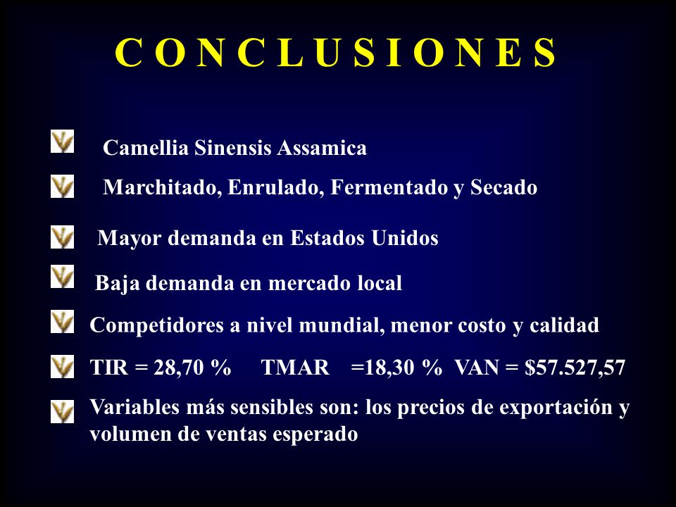 C O N C L U S I O N E S Camellia Sinensis Assamica