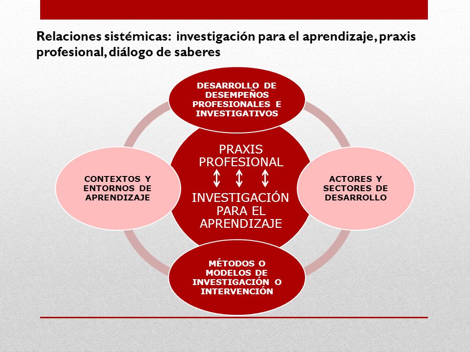 Relaciones sistémicas: investigación para el aprendizaje, praxis profesional, diálogo de saberes