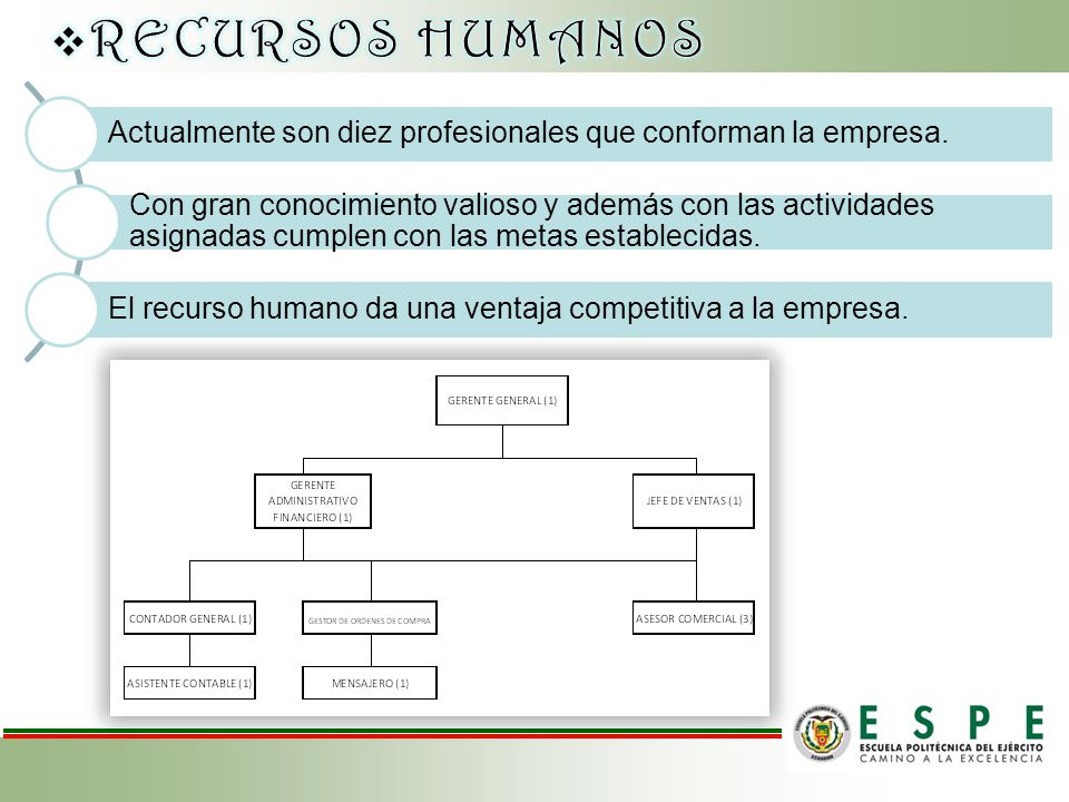 RECURSOS HUMANOS Actualmente son diez profesionales que conforman la empresa.