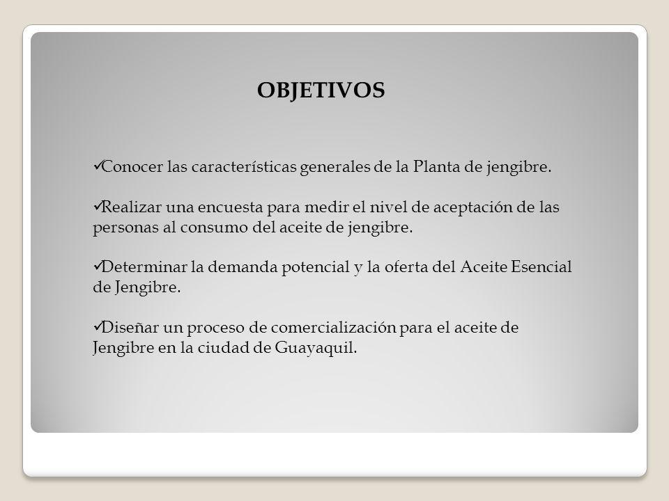 OBJETIVOS Conocer las características generales de la Planta de jengibre.