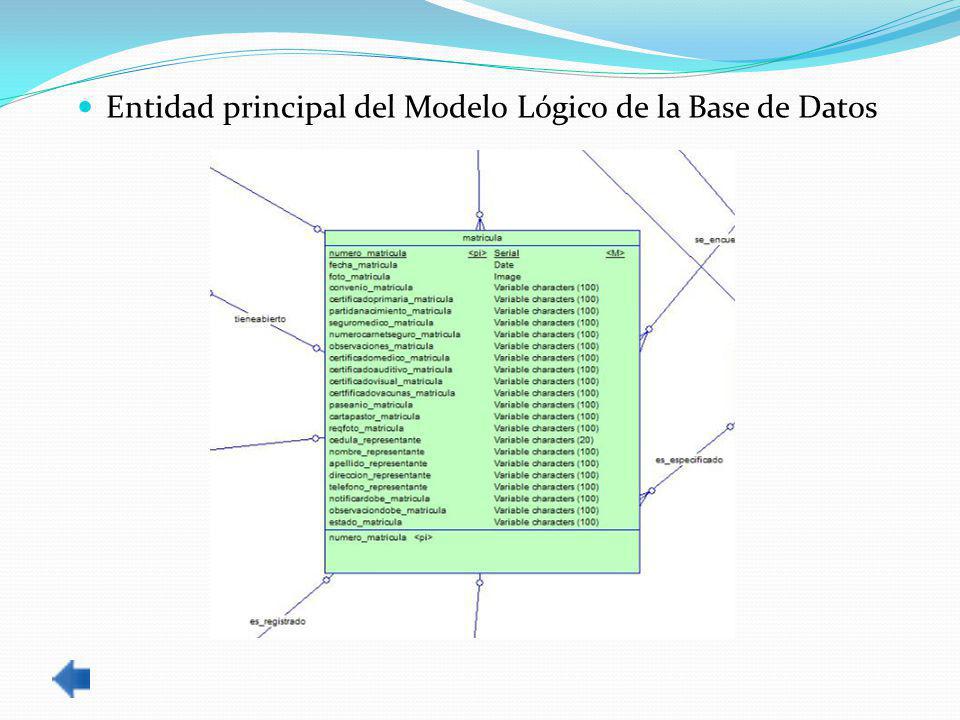Entidad principal del Modelo Lógico de la Base de Datos