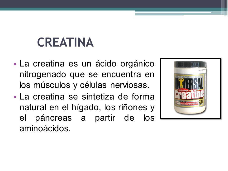 CREATINA La creatina es un ácido orgánico nitrogenado que se encuentra en los músculos y células nerviosas.