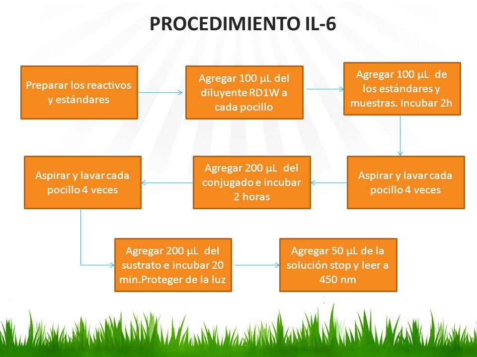 PROCEDIMIENTO IL-6 Agregar 100 µL de los estándares y muestras. Incubar 2h. Preparar los reactivos y estándares.