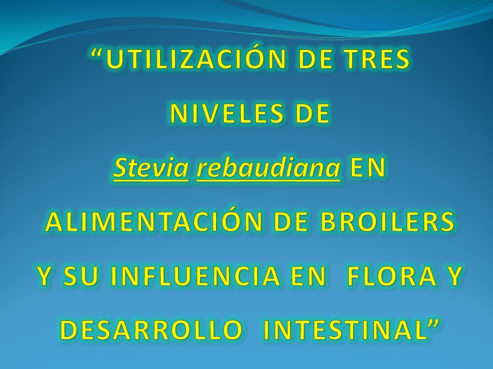 UTILIZACIÓN DE TRES NIVELES DE Stevia rebaudiana EN ALIMENTACIÓN DE BROILERS Y SU INFLUENCIA EN FLORA Y DESARROLLO INTESTINAL