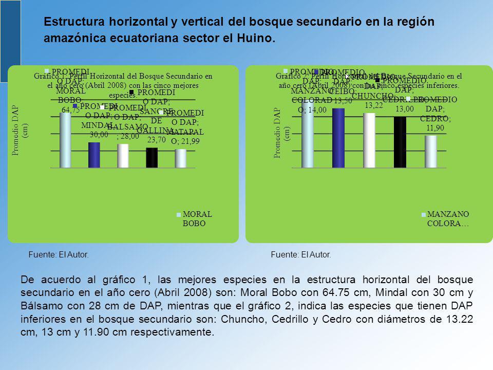 Estructura horizontal y vertical del bosque secundario en la región amazónica ecuatoriana sector el Huino.