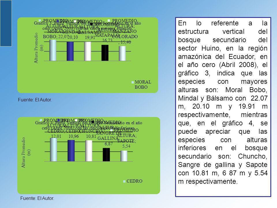 En lo referente a la estructura vertical del bosque secundario del sector Huino, en la región amazónica del Ecuador, en el año cero (Abril 2008), el gráfico 3, indica que las especies con mayores alturas son: Moral Bobo, Mindal y Bálsamo con m, m y m respectivamente, mientras que, en el gráfico 4, se puede apreciar que las especies con alturas inferiores en el bosque secundario son: Chuncho, Sangre de gallina y Sapote con m, 6 87 m y 5.54 m respectivamente.