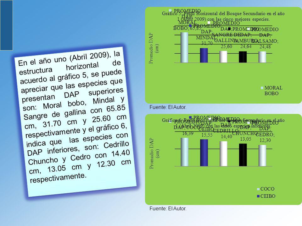 En el año uno (Abril 2009), la estructura horizontal de acuerdo al gráfico 5, se puede apreciar que las especies que presentan DAP superiores son: Moral bobo, Mindal y Sangre de gallina con cm, cm y cm respectivamente y el gráfico 6, indica que las especies con DAP inferiores, son: Cedrillo Chuncho y Cedro con cm, cm y cm respectivamente.