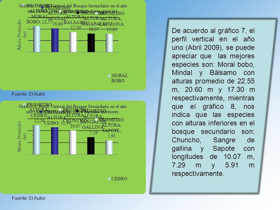 De acuerdo al gráfico 7, el perfil vertical en el año uno (Abril 2009), se puede apreciar que las mejores especies son: Moral bobo, Mindal y Bálsamo con alturas promedio de m, m y m respectivamente, mientras que el gráfico 8, nos indica que las especies con alturas inferiores en el bosque secundario son: Chuncho, Sangre de gallina y Sapote con longitudes de m, 7.29 m y 5.91 m respectivamente.