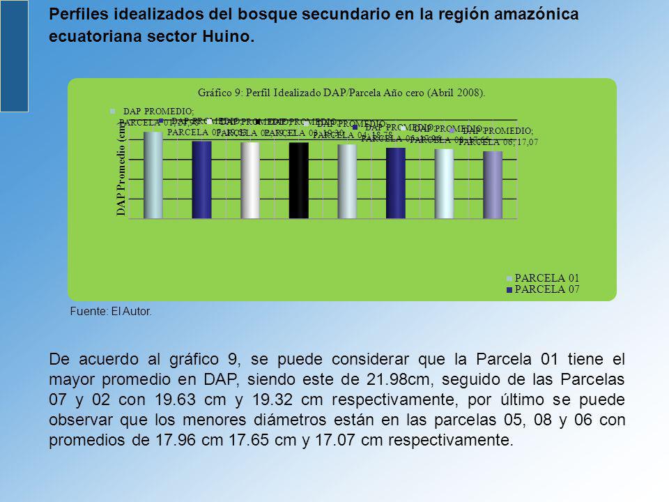 Perfiles idealizados del bosque secundario en la región amazónica ecuatoriana sector Huino.