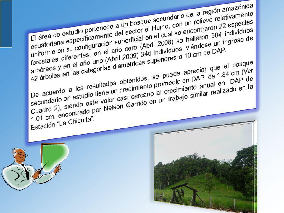 El área de estudio pertenece a un bosque secundario de la región amazónica ecuatoriana específicamente del sector el Huino, con un relieve relativamente uniforme en su configuración superficial en el cual se encontraron 22 especies forestales diferentes, en el año cero (Abril 2008) se hallaron 304 individuos arbóreos y en el año uno (Abril 2009) 346 individuos, viéndose un ingreso de 42 árboles en las categorías diamétricas superiores a 10 cm de DAP.