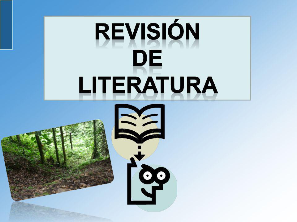 REVISIÓN DE LITERATURA