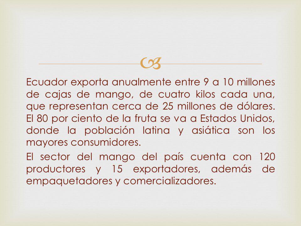 Ecuador exporta anualmente entre 9 a 10 millones de cajas de mango, de cuatro kilos cada una, que representan cerca de 25 millones de dólares.