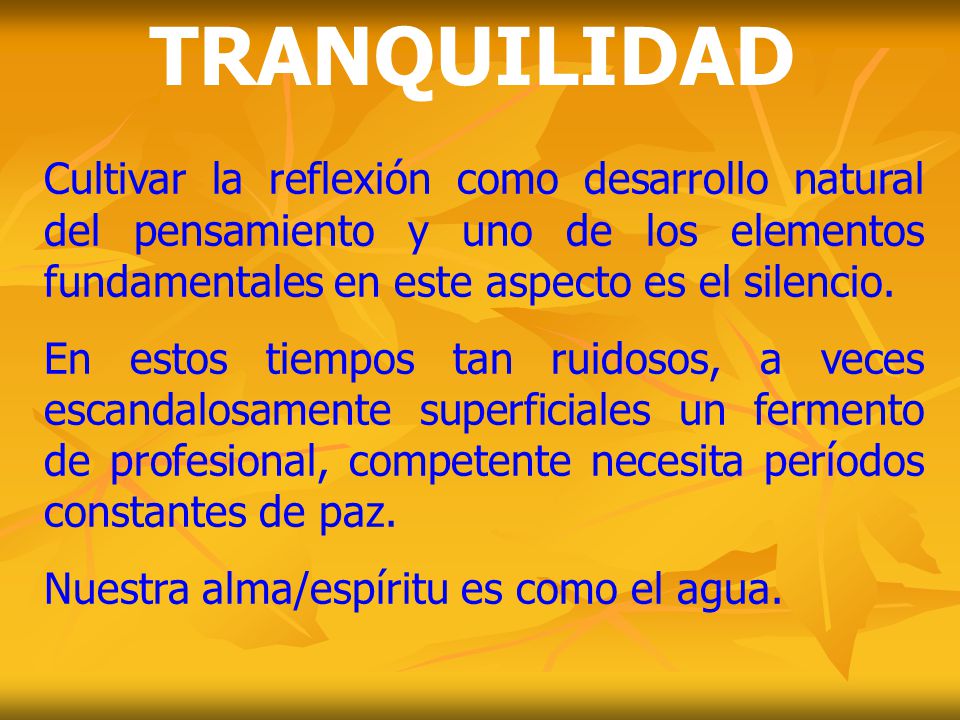 TRANQUILIDAD Cultivar la reflexión como desarrollo natural del pensamiento y uno de los elementos fundamentales en este aspecto es el silencio.