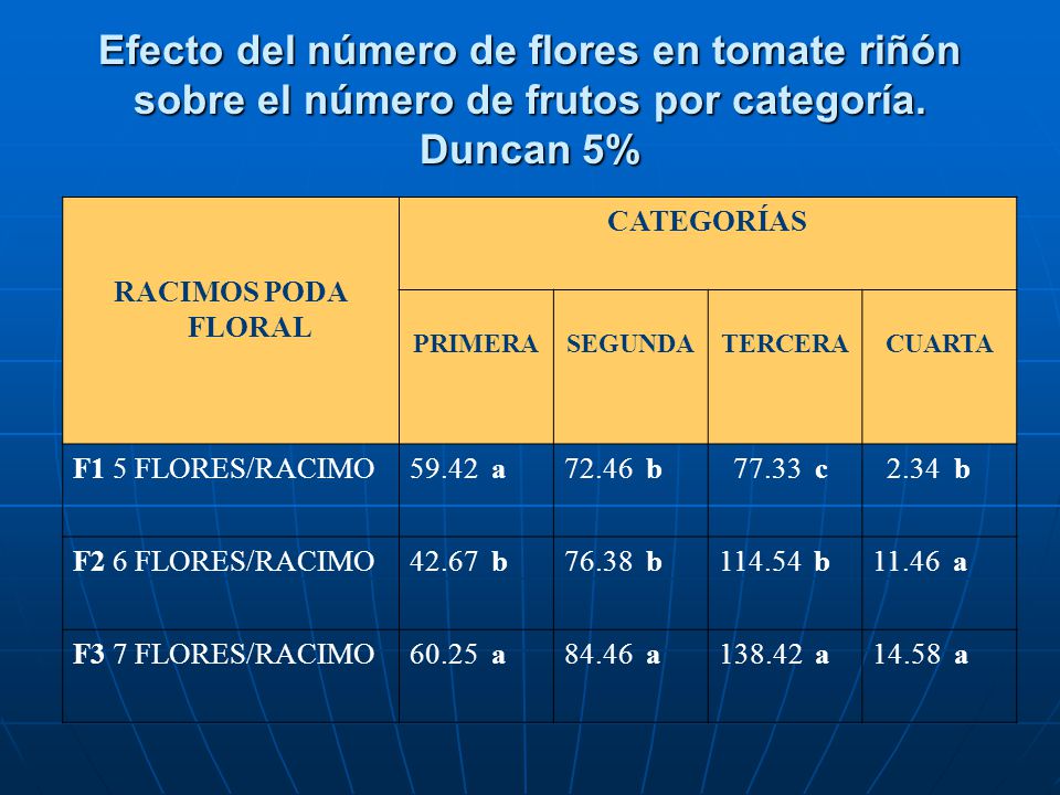 Efecto del número de flores en tomate riñón sobre el número de frutos por categoría. Duncan 5%