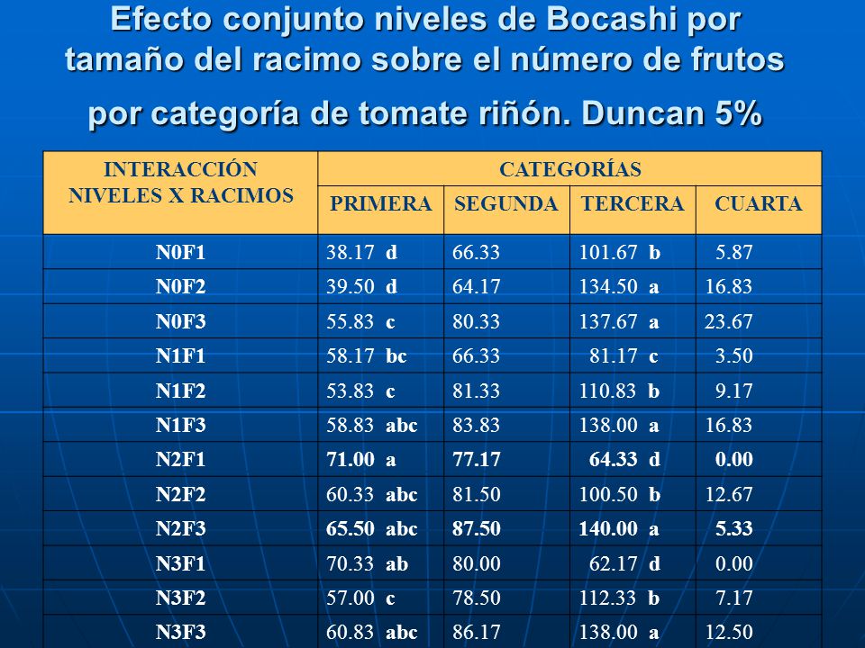 Efecto conjunto niveles de Bocashi por tamaño del racimo sobre el número de frutos por categoría de tomate riñón. Duncan 5%