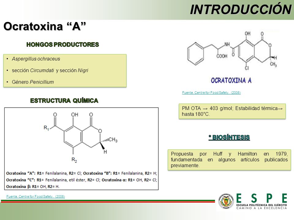 INTRODUCCIÓN Ocratoxina A HONGOS PRODUCTORES ESTRUCTURA QUÍMICA