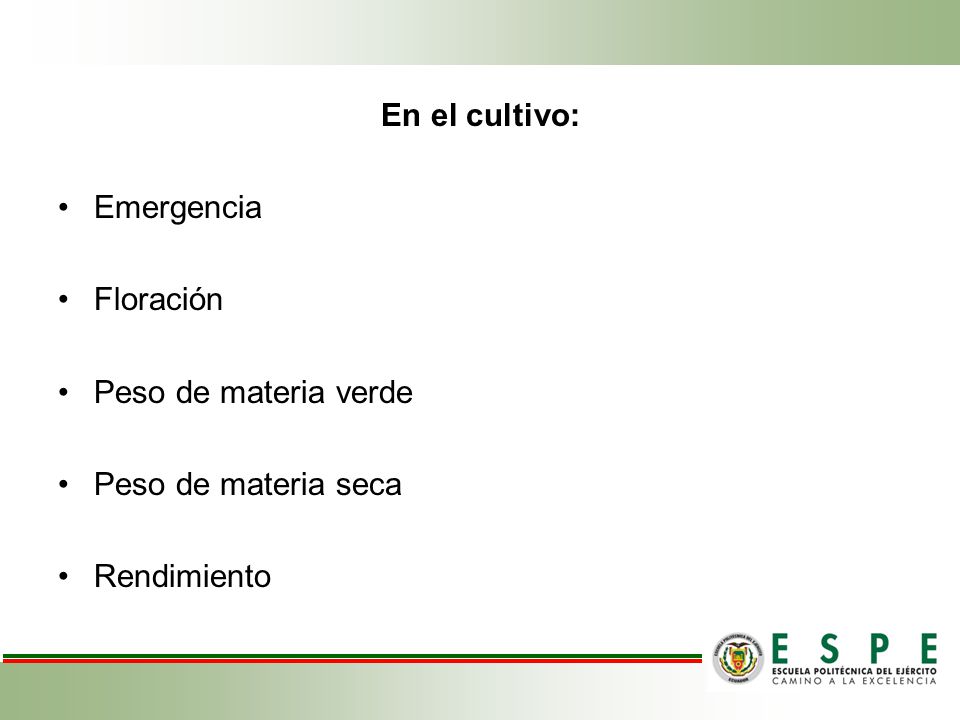En el cultivo: Emergencia Floración Peso de materia verde Peso de materia seca Rendimiento
