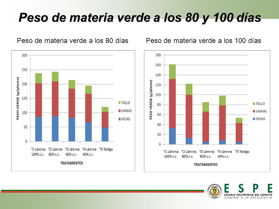 Peso de materia verde a los 80 y 100 días