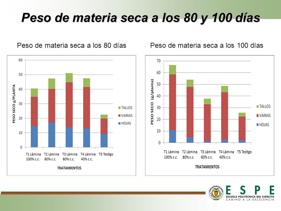 Peso de materia seca a los 80 y 100 días