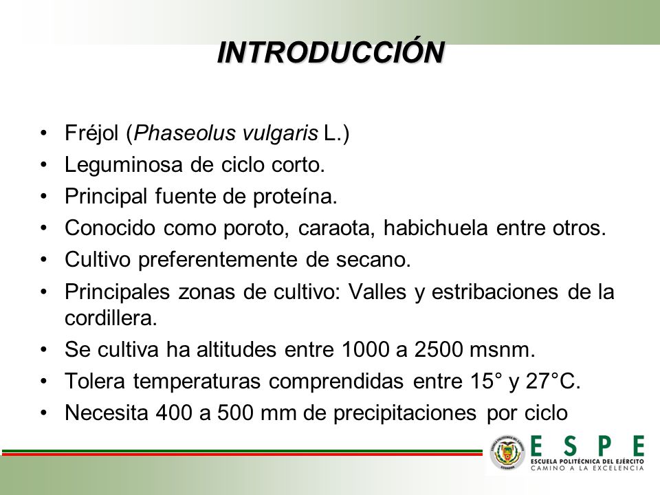 INTRODUCCIÓN Fréjol (Phaseolus vulgaris L.) Leguminosa de ciclo corto.