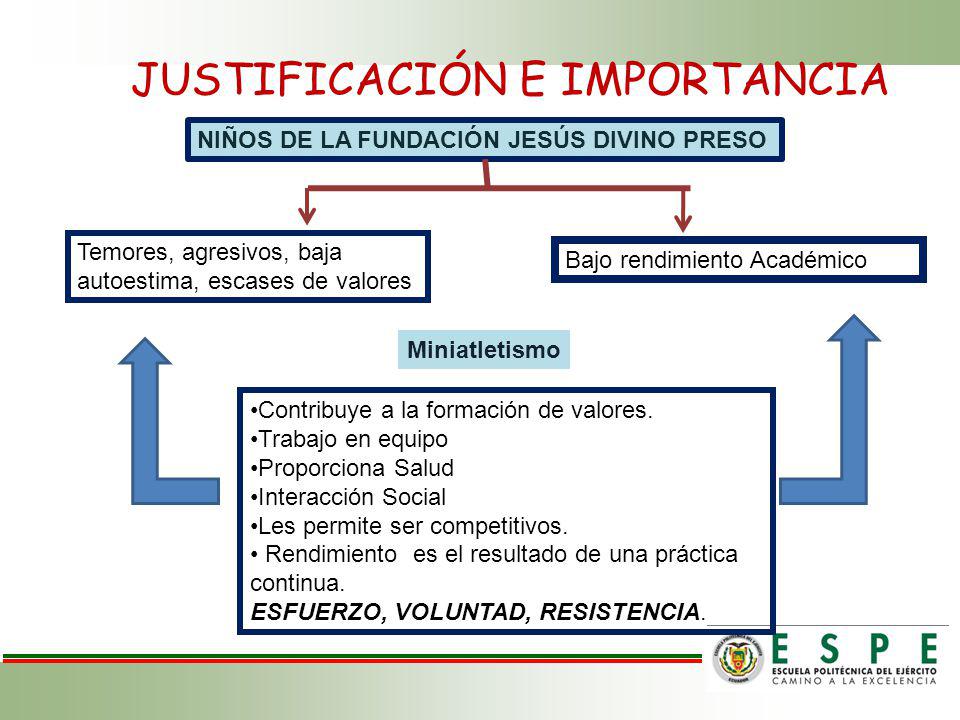 JUSTIFICACIÓN E IMPORTANCIA