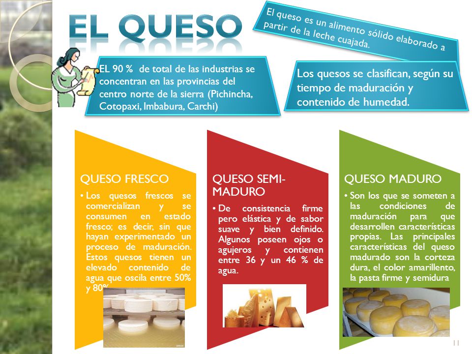 EL QUESO El queso es un alimento sólido elaborado a partir de la leche cuajada.