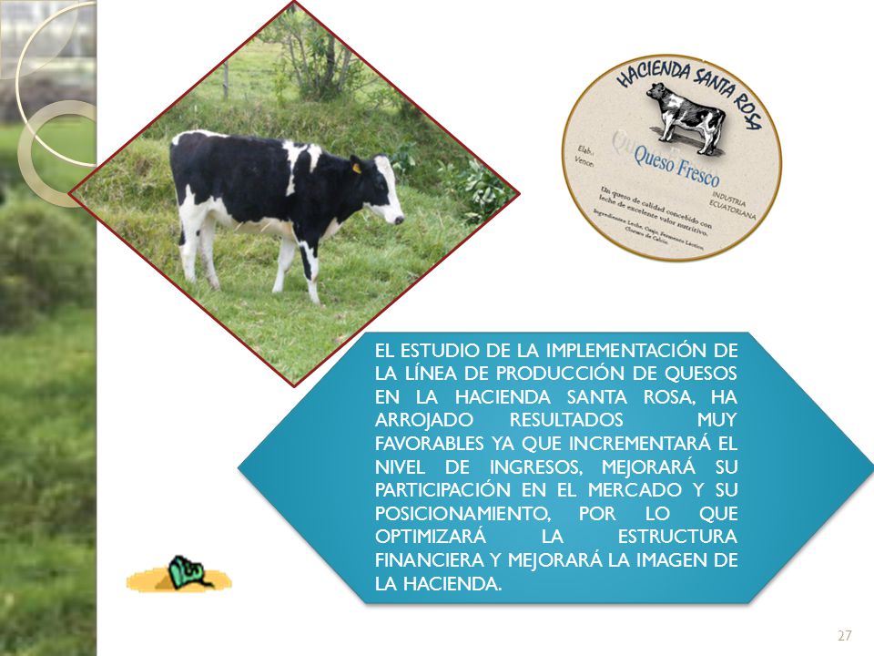 EL ESTUDIO DE LA IMPLEMENTACIÓN DE LA LÍNEA DE PRODUCCIÓN DE QUESOS EN LA HACIENDA SANTA ROSA, HA ARROJADO RESULTADOS MUY FAVORABLES YA QUE INCREMENTARÁ EL NIVEL DE INGRESOS, MEJORARÁ SU PARTICIPACIÓN EN EL MERCADO Y SU POSICIONAMIENTO, POR LO QUE OPTIMIZARÁ LA ESTRUCTURA FINANCIERA Y MEJORARÁ LA IMAGEN DE LA HACIENDA.