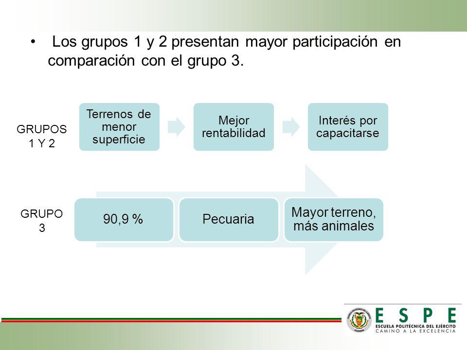 Los grupos 1 y 2 presentan mayor participación en comparación con el grupo 3.