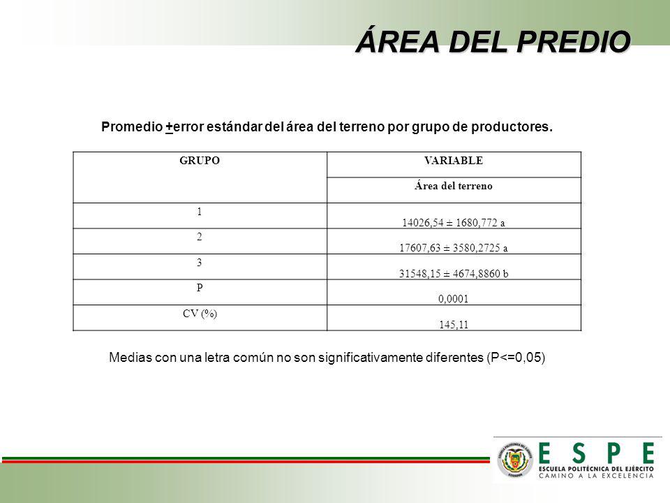 ÁREA DEL PREDIO Promedio +error estándar del área del terreno por grupo de productores. GRUPO. VARIABLE.