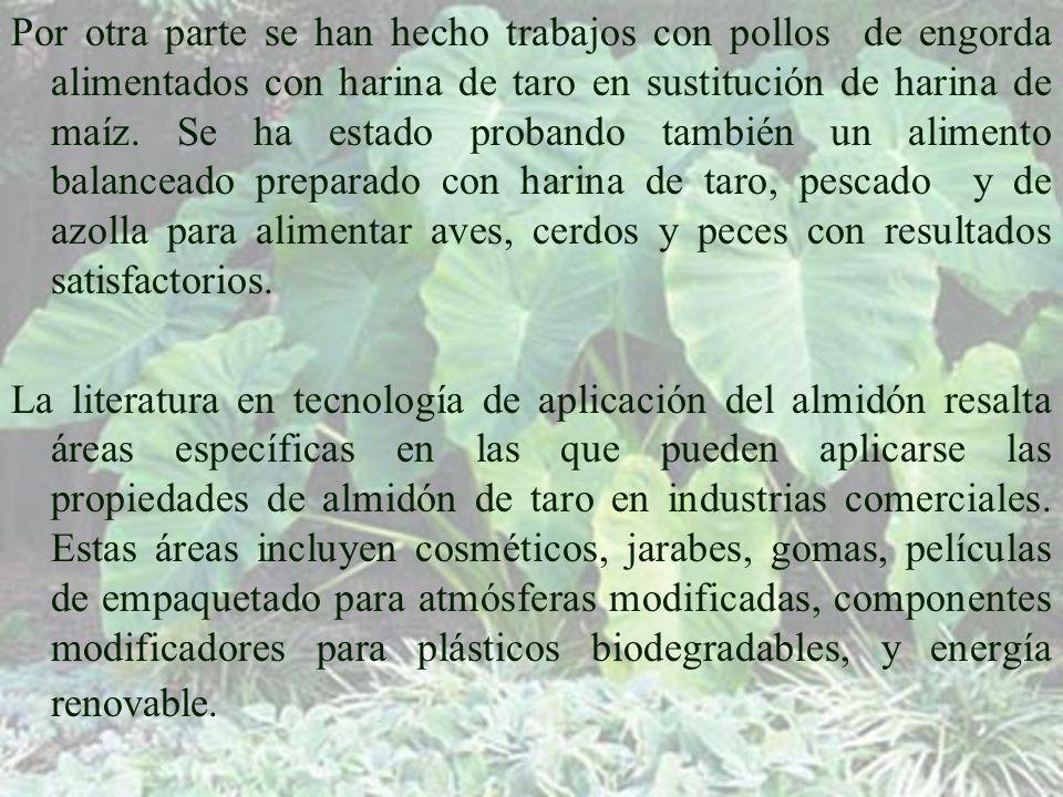 Por otra parte se han hecho trabajos con pollos de engorda alimentados con harina de taro en sustitución de harina de maíz. Se ha estado probando también un alimento balanceado preparado con harina de taro, pescado y de azolla para alimentar aves, cerdos y peces con resultados satisfactorios.