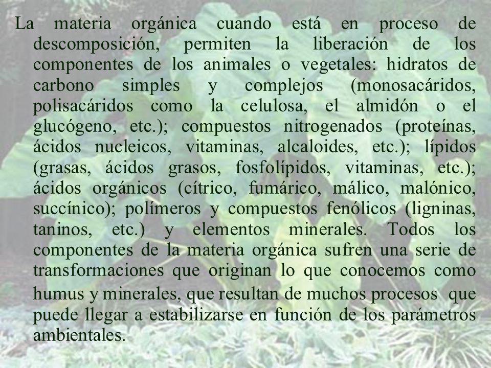 La materia orgánica cuando está en proceso de descomposición, permiten la liberación de los componentes de los animales o vegetales: hidratos de carbono simples y complejos (monosacáridos, polisacáridos como la celulosa, el almidón o el glucógeno, etc.); compuestos nitrogenados (proteínas, ácidos nucleicos, vitaminas, alcaloides, etc.); lípidos (grasas, ácidos grasos, fosfolípidos, vitaminas, etc.); ácidos orgánicos (cítrico, fumárico, málico, malónico, succínico); polímeros y compuestos fenólicos (ligninas, taninos, etc.) y elementos minerales.