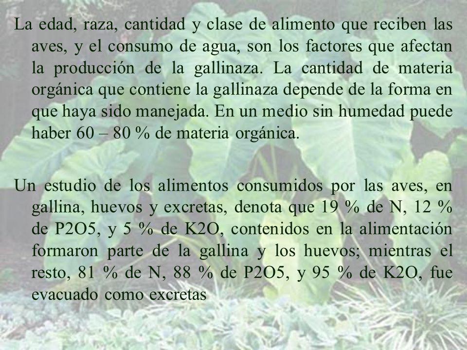 La edad, raza, cantidad y clase de alimento que reciben las aves, y el consumo de agua, son los factores que afectan la producción de la gallinaza. La cantidad de materia orgánica que contiene la gallinaza depende de la forma en que haya sido manejada. En un medio sin humedad puede haber 60 – 80 % de materia orgánica.