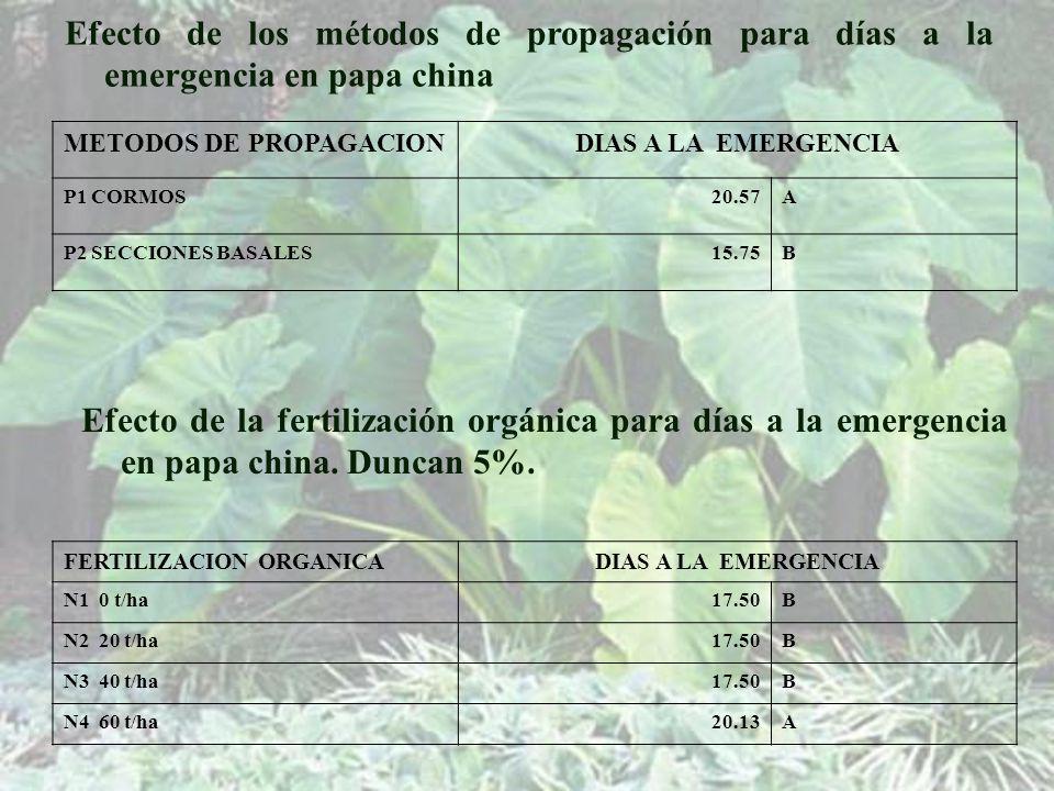 Efecto de los métodos de propagación para días a la emergencia en papa china