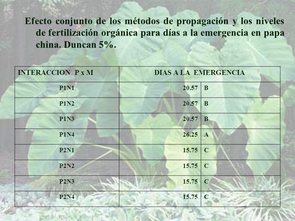 Efecto conjunto de los métodos de propagación y los niveles de fertilización orgánica para días a la emergencia en papa china. Duncan 5%.